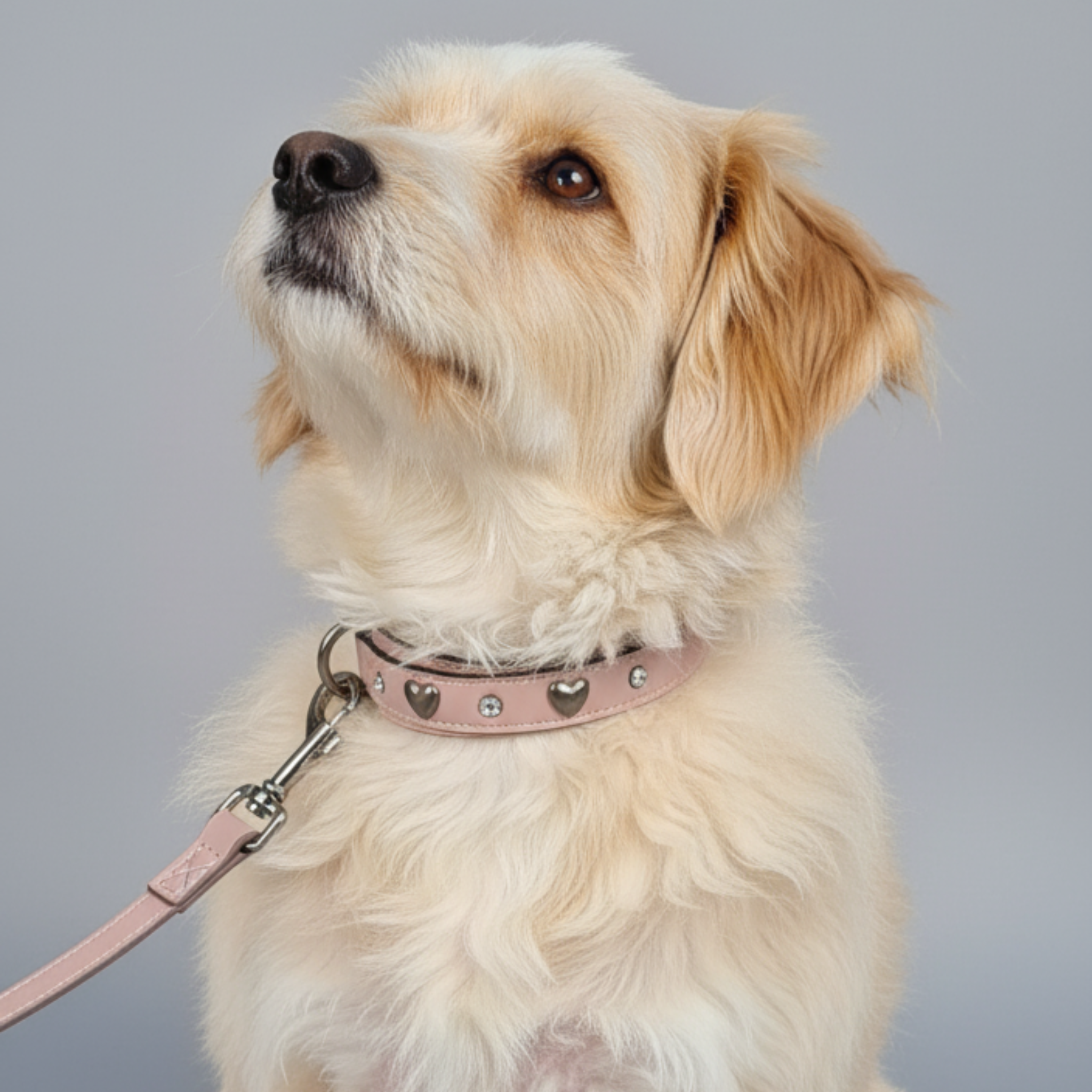 Set Collare con Cristalli e Guinzaglio in Pelle per Cani